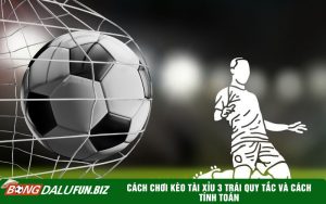 Cách chơi kèo Tài Xỉu 3 Trái quy tắc và cách tính toán