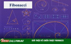Giới thiệu về Chiến Thuật Fibonacci