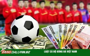 Luật cá độ bóng đá Việt Nam