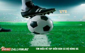 Tìm Hiểu Về Top Diễn Đàn Cá Độ Bóng Đá