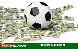 Tìm hiểu về cá độ bóng đá