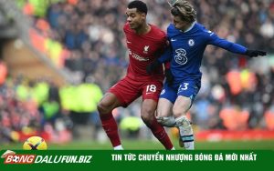 Tin tức chuyển nhượng BARCA bóng đá mới nhất