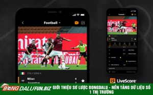 Giới thiệu sơ lược Bongdalu - Nền tảng dữ liệu số 1 thị trường