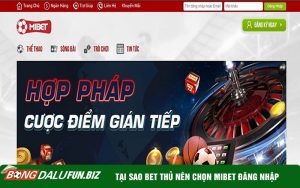 Tại sao bet thủ nên chọn đăng nhập Mibet